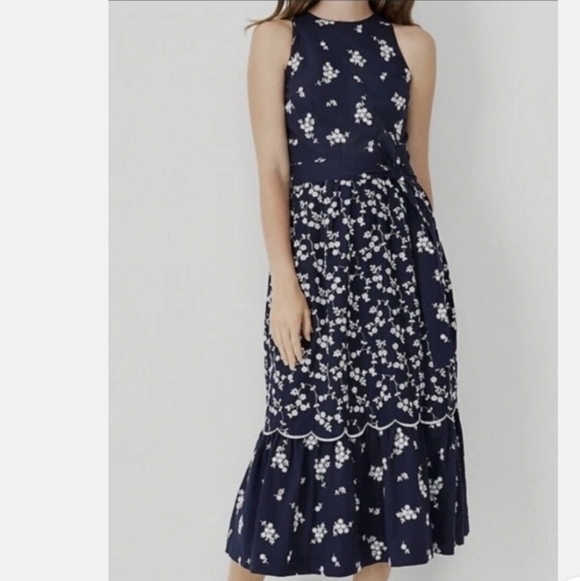 Ann Taylor Dresses & Skirts - NWT Ann Taylor Embroidered Floral Mido Dress Navy Blue & White Plus Size 16